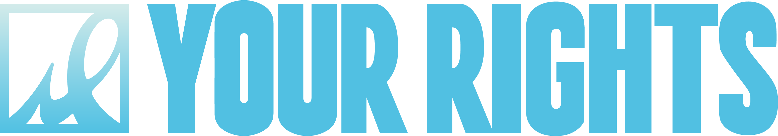 YOUR RIGHTS